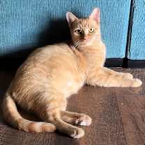 Thumbnail photo of Soleil #4