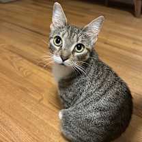 Thumbnail photo of Crumb #1