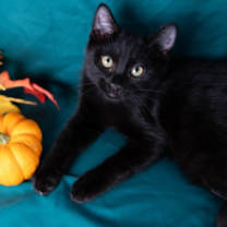 Thumbnail photo of Professor #4