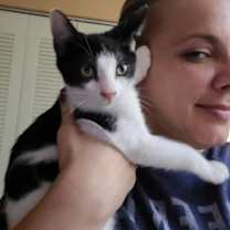 Thumbnail photo of Oreo - Petsmart Plantation Foster Home #2
