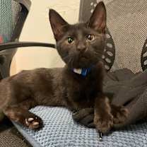 Thumbnail photo of Estinien #2