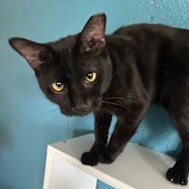 Thumbnail photo of Jaxton #2