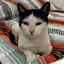 Thumbnail photo of Junior #3