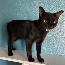 Thumbnail photo of Jaxton #3