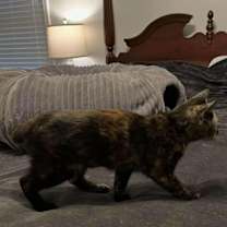 Thumbnail photo of Kristen #2