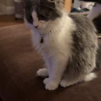 Thumbnail photo of June #1