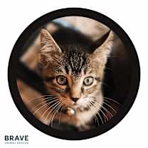 Thumbnail photo of Jordan Love #3