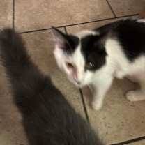 Thumbnail photo of Bingo #3