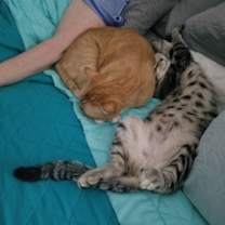 Thumbnail photo of Waltz #2