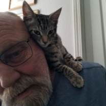 Thumbnail photo of Waltz #3