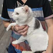 Thumbnail photo of Denali #2