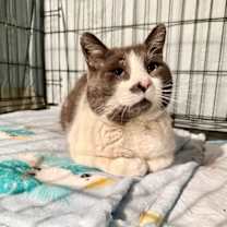 Thumbnail photo of Buddy #2