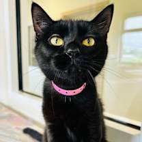 Thumbnail photo of Amity #1