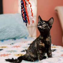 Thumbnail photo of Lainety #3