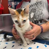 Thumbnail photo of Autumn  #2