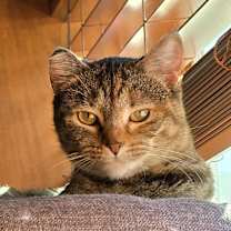 Thumbnail photo of Tammy #2