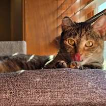 Thumbnail photo of Tammy #3