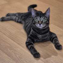 Thumbnail photo of Arica #2