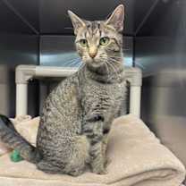 Thumbnail photo of Aleera #1