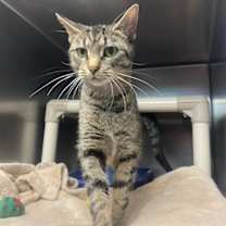 Thumbnail photo of Aleera #2