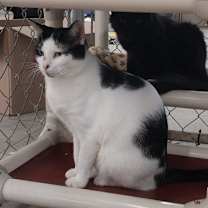 Thumbnail photo of April #3