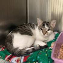 Thumbnail photo of Beverly #2