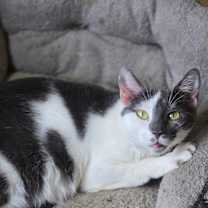 Thumbnail photo of Lyn #4