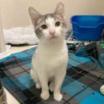 Thumbnail photo of Pop #1