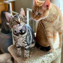 Thumbnail photo of Baby #4