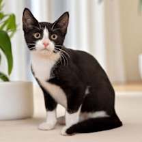 Thumbnail photo of Gigi #1