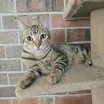 Thumbnail photo of Busy #1