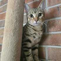 Thumbnail photo of Busy #2