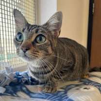 Thumbnail photo of Matilda  #3