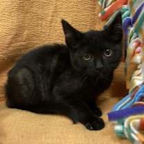 Thumbnail photo of Tilly  #2