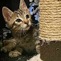 Thumbnail photo of Jerry #2