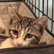 Thumbnail photo of Jill #3