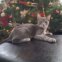 Thumbnail photo of Mikey #1