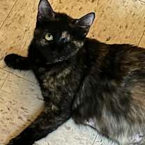 Thumbnail photo of Trudie #1