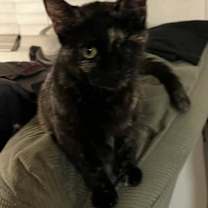 Thumbnail photo of Trudie #2