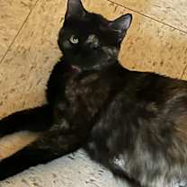 Thumbnail photo of Trudie #3