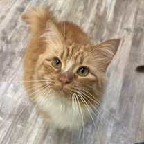 Thumbnail photo of Juice #3