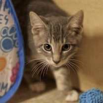 Thumbnail photo of Jornathan #4