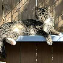 Thumbnail photo of Munchkin #2