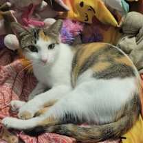 Thumbnail photo of Kiki #2