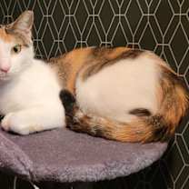 Thumbnail photo of Kiki #4