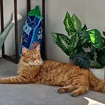 Thumbnail photo of Meester #4