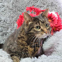 Thumbnail photo of Bright Eyes #1