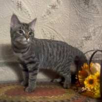 Thumbnail photo of Scrambles #3