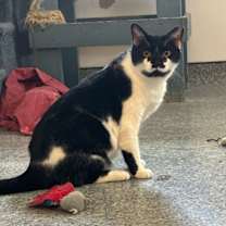 Thumbnail photo of Spot #1