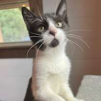 Thumbnail photo of Winx #3